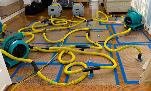 Professional Structural Drying And Dehumidification technician working in Bloomfield, IN